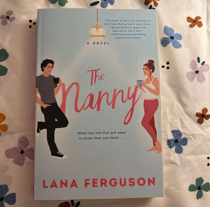Book Review The Nanny By Lana Ferguson (1)